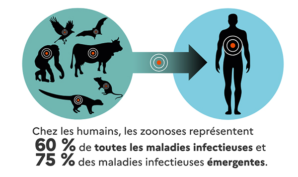 #Mbour – Dispositif sous-régional de gestion concertée et coordonnée contre les zoonoses : L’Ooas renforce les capacités des ressources humaines